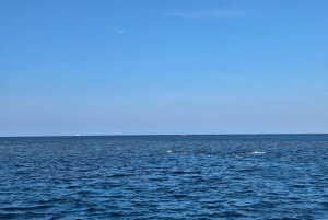 Lombok: Privat snorkling Gili Kondo, Gili Bidara, Gili Kapal.