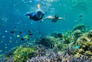 Lombok:Snorkel Privado Gili Kondo,Gili Bidara,Gili Kapal.