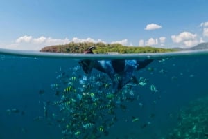 ロンボク島：ギリ ナング、ギリ スダク、ギリ ケディスのプライベート シュノーケリング。