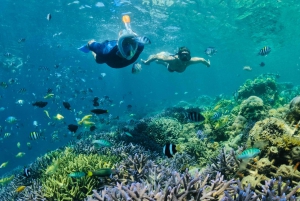 Lombok: Privat Snorkeling Gili Nanggu, Gili Sudak, Gili Kedis.