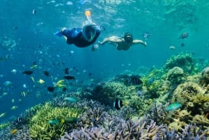 Lombok:Snorkel Privado Gili Nanggu,Gili Sudak,Gili Kedis.
