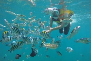Lombok: Snorkeling privado em Gili Nanggu, Gili Sudak e Gili Kedis.