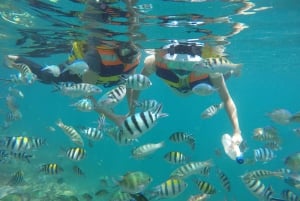 Lombok:Privat Snorkeling Gili Nanggu,Gili Sudak,Gili Kedis.