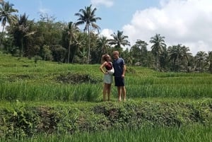 Lombok : Privat Tour Benang Kelambu Waterfall, Rice Terrace.