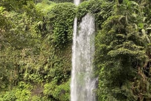 Lombok:Tour privato Cascata di Tiu Kelep, mercato locale, villaggi