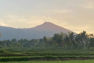 Lombok:Privat Tour Tiu Kelep Waterfall,Local Market,Villages