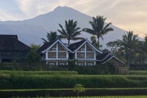 Lombok : visite privée de la cascade de Tiu Kelep, du marché local, des villages