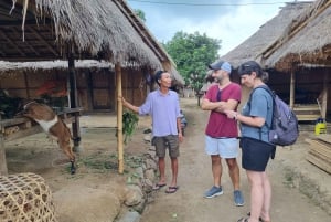 Lombok: Private Car/Van Charter with Driver