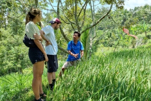 Lombok: Private Car/Van Charter with Driver