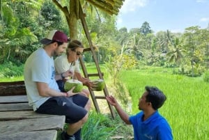 Lombok: Private Car/Van Charter with Driver