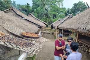 Lombok: Private Car/Van Charter with Driver