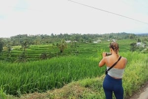 Lombok: Private Car/Van Charter with Driver