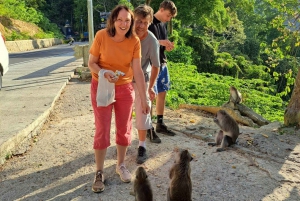 Lombok: Charter av privat bil/van med förare och guide