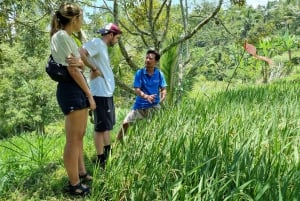 Lombok: Noleggio auto/van privato con guida-autista