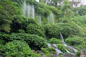 Lombok: Privé auto/busje met chauffeur-gids