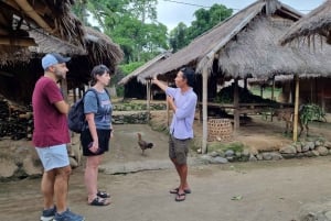 Lombok: Noleggio auto/van privato con guida-autista