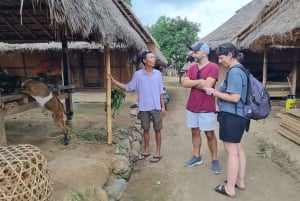 Lombok: Private Car/Van Charter with Driver