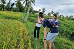 Lombok: Prywatna wycieczka na zamówienie z przewodnikiem-kierowcą