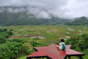 Lombok: Privat anpassningsbar tur med förare och guide