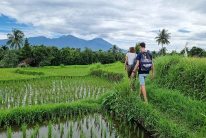 Lombok: Prywatna wycieczka na zamówienie z przewodnikiem-kierowcą