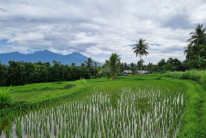 Lombok: Tour particular personalizável com motorista-guia