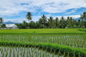 Lombok : Visite privée personnalisable avec chauffeur-guide