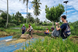 Lombok: Privat anpassningsbar tur med förare och guide