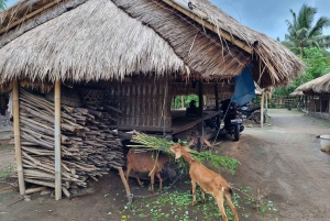 Lombok: Privat anpassningsbar tur med förare och guide