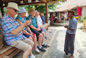 Lombok: Privat omvisning med sjåfør og guide