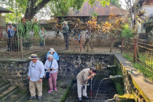 Lombok: Prywatna wycieczka na zamówienie z przewodnikiem-kierowcą