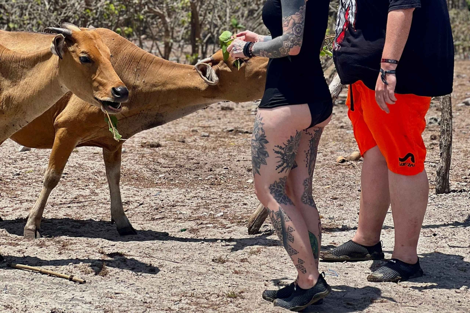 Lombok: Private day trip snorkeling in Secret Island