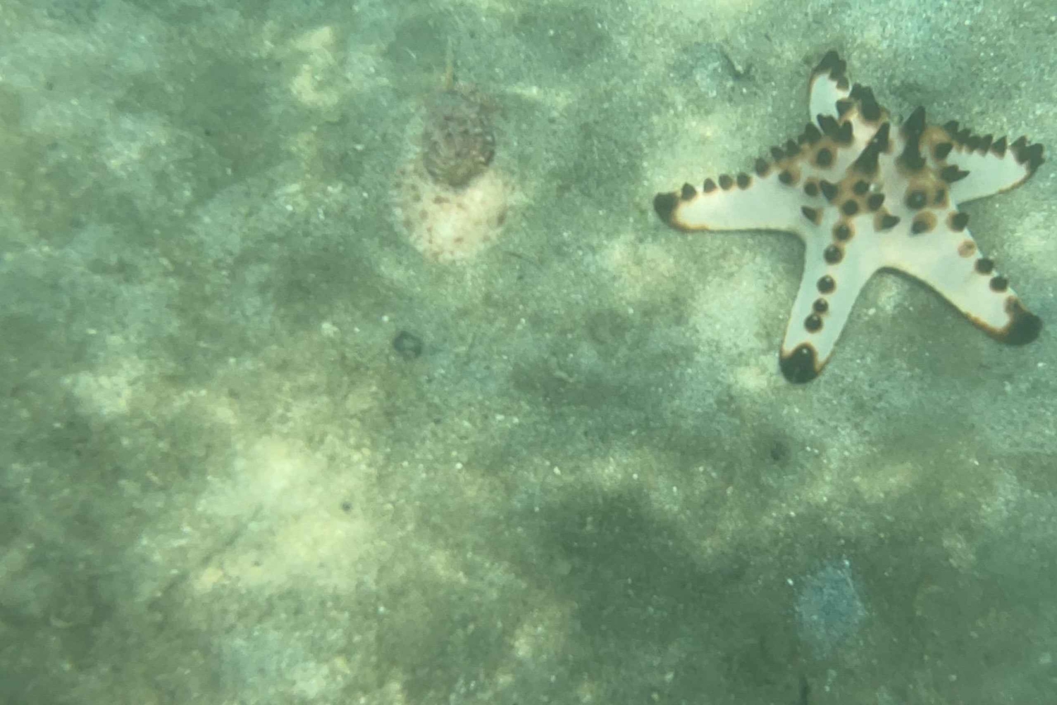 Lombok: Private day trip snorkeling in Secret Island