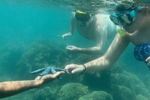 Lombok: Privat dagsutflykt snorkling i Secret Island