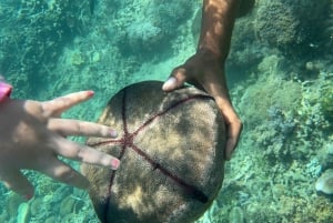 Lombok: Private day trip snorkeling in Secret Island