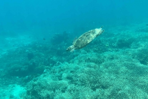 Lombok: Viagem particular de 1 dia com snorkel na Ilha Secreta