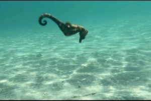 Lombok: Private day trip snorkeling in Secret Island