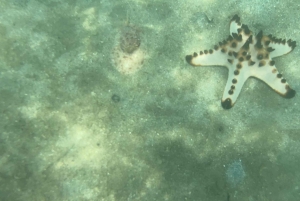 Lombok: Private day trip snorkeling in Secret Island