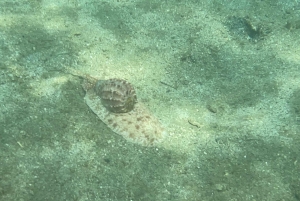 Lombok: Private day trip snorkeling in Secret Island