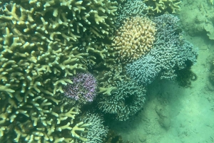 Lombok: Private day trip snorkeling in Secret Island