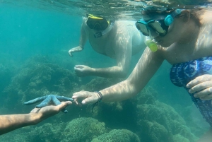 Lombok: Private day trip snorkeling in Secret Island
