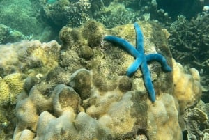 Lombok: Private day trip snorkeling in Secret Island