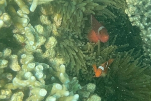 Lombok: Private day trip snorkeling in Secret Island