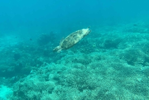 Lombok: Private day trip snorkeling in Secret Island