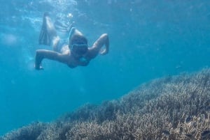 Ломбок: частный розовый пляж и экзотический сноркелинг на Гили