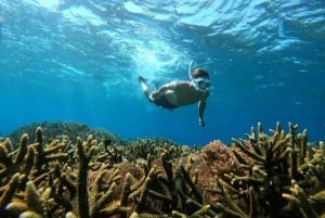 Ломбок: частный розовый пляж и экзотический сноркелинг на Гили