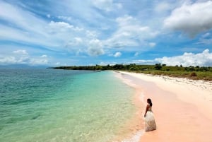 Ломбок: частный розовый пляж и экзотический сноркелинг на Гили