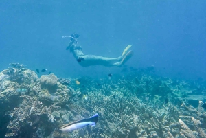 Ломбок: частный розовый пляж и экзотический сноркелинг на Гили