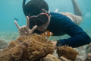 Lombok : visite privée de la plage rose et plongée avec tuba à Gili avec GoPro