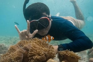 Lombok: Tour particular pela Pink Beach e mergulho com snorkel + fotógrafo