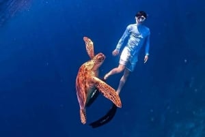 Lombok: Snorkeling privato in 4 punti e avvistamento di piccole tartarughe